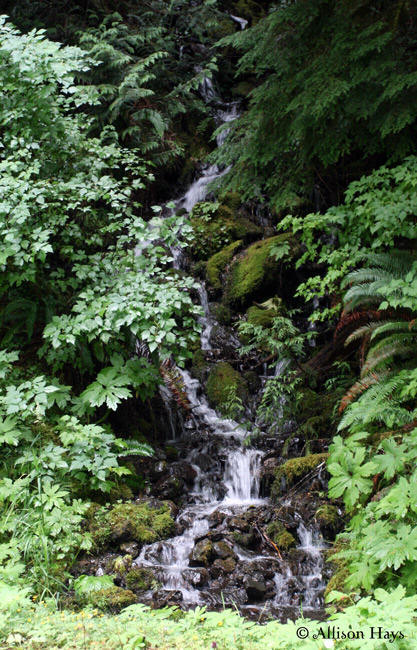small waterfall near crescent lake