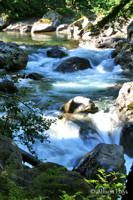 Salmon Cascades along the Sol Duc River