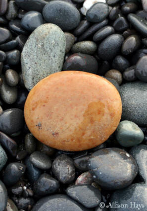 stones on reialto beach